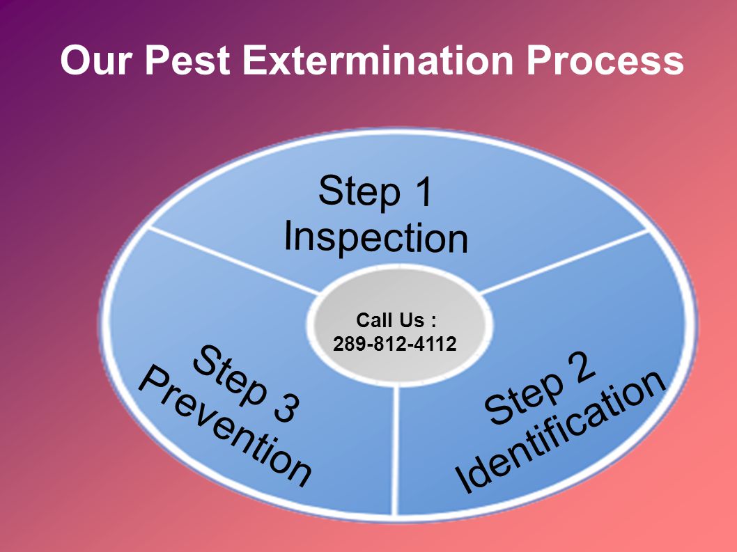 Our Pest Extermination Process Step 1 Inspection Step 2 Identification Step 3 Prevention Call Us :