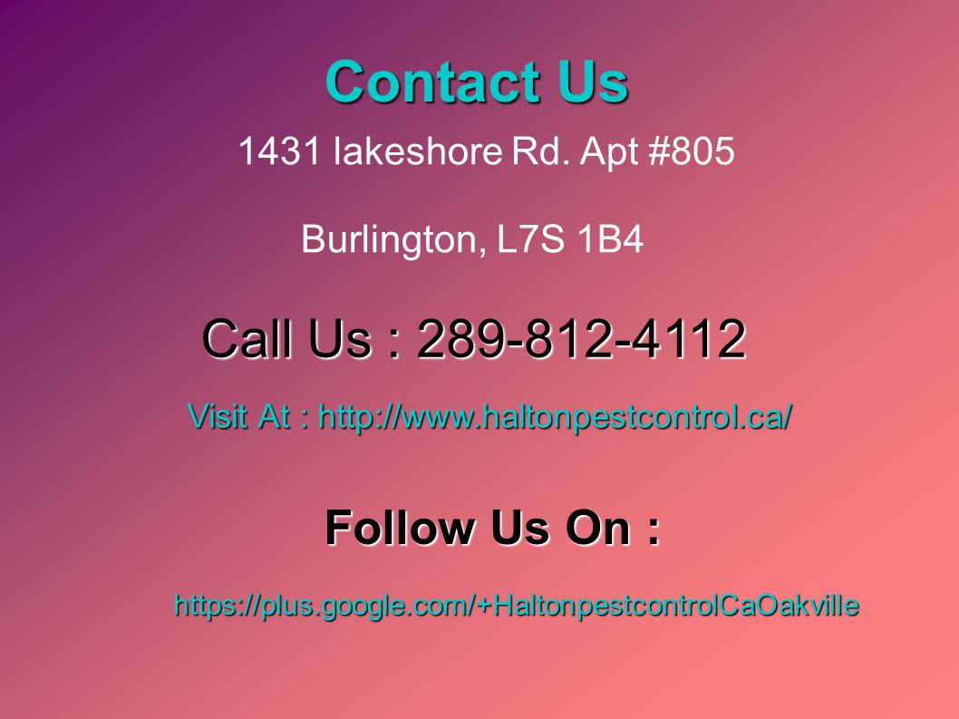 Contact Us 1431 lakeshore Rd.