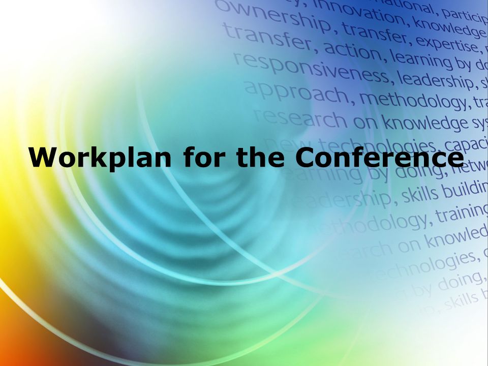 Workplan for the Conference