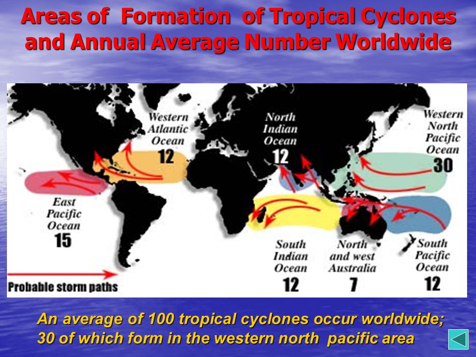 Areas of Formation of Tropical Cyclones and Annual Average Number Worldwide An average of 100 tropical cyclones occur worldwide; 30 of which form in the western north pacific area