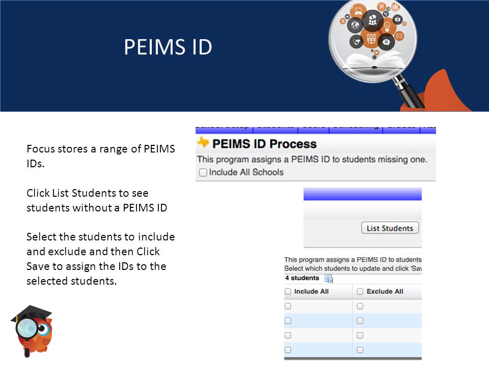 PEIMS ID Focus stores a range of PEIMS IDs.