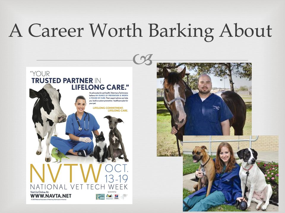  A Career Worth Barking About