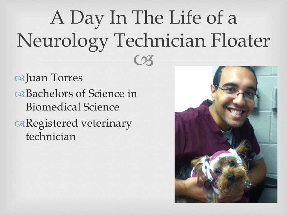   Juan Torres  Bachelors of Science in Biomedical Science  Registered veterinary technician A Day In The Life of a Neurology Technician Floater