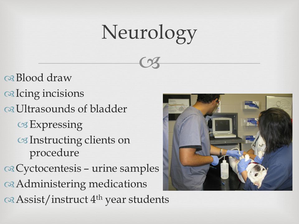   Blood draw  Icing incisions  Ultrasounds of bladder  Expressing  Instructing clients on procedure  Cyctocentesis – urine samples  Administering medications  Assist/instruct 4 th year students Neurology