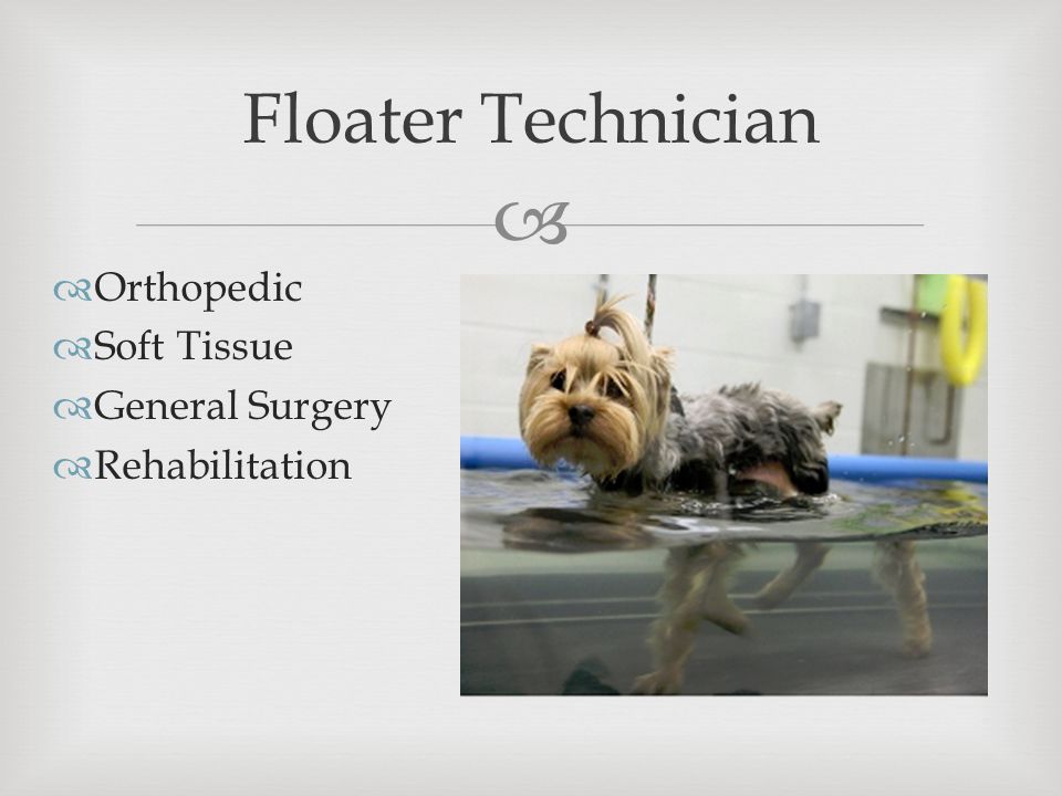   Orthopedic  Soft Tissue  General Surgery  Rehabilitation Floater Technician