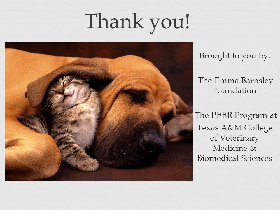 Brought to you by: The Emma Barnsley Foundation The PEER Program at Texas A&M College of Veterinary Medicine & Biomedical Sciences Thank you!
