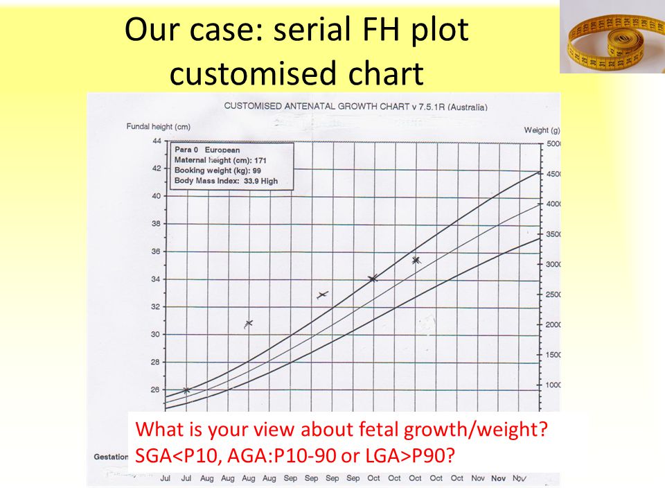 Fetal Fundal Height Chart