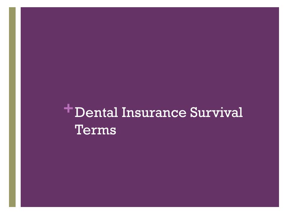 + Dental Insurance Survival Terms