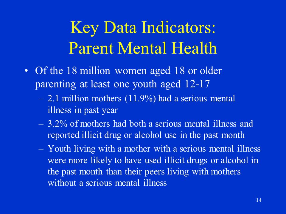 14 Key Data Indicators: Parent Mental Health Of the 18 million women aged 18 or older parenting at least one youth aged –2.1 million mothers (11.9%) had a serious mental illness in past year –3.2% of mothers had both a serious mental illness and reported illicit drug or alcohol use in the past month –Youth living with a mother with a serious mental illness were more likely to have used illicit drugs or alcohol in the past month than their peers living with mothers without a serious mental illness