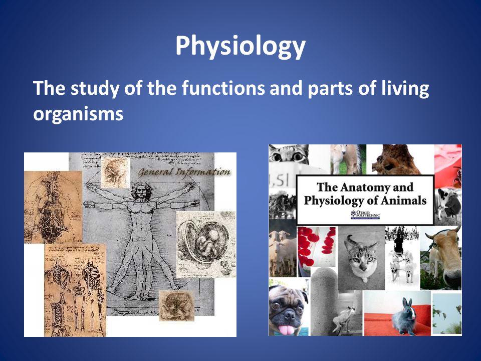Physiology The study of the functions and parts of living organisms