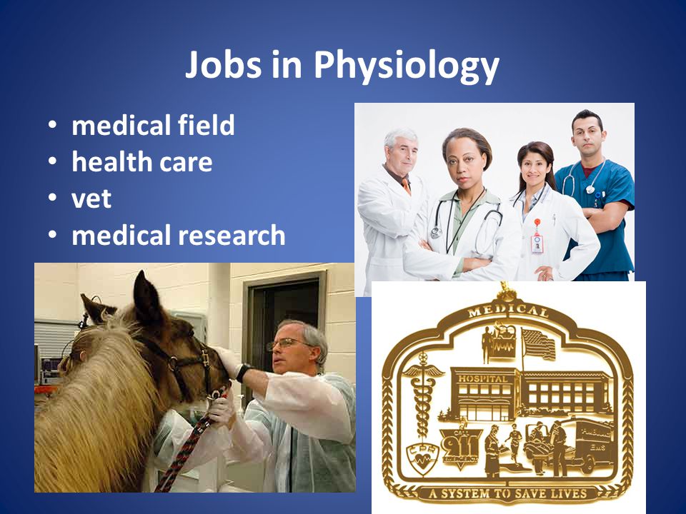 Jobs in Physiology medical field health care vet medical research