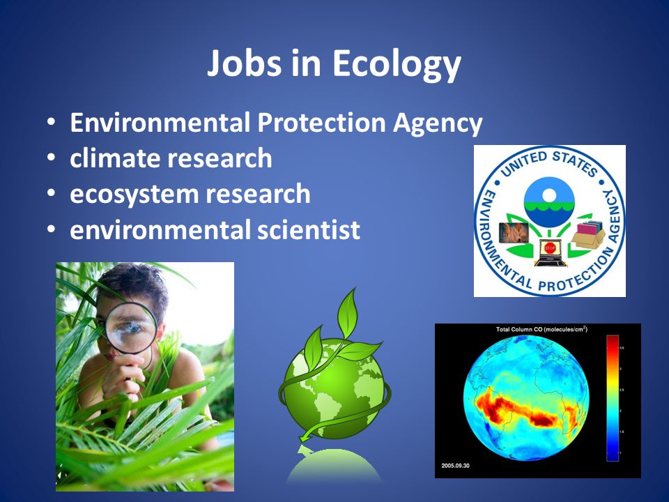 Jobs in Ecology Environmental Protection Agency climate research ecosystem research environmental scientist