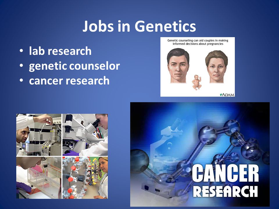 Jobs in Genetics lab research genetic counselor cancer research