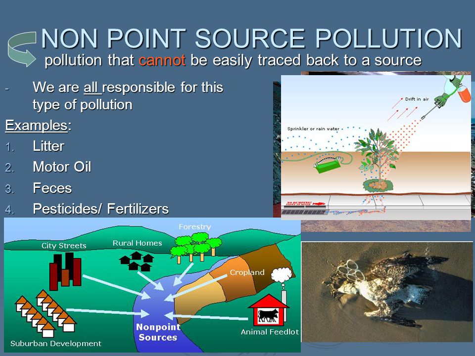 NON POINT SOURCE POLLUTION - We are all responsible for this type of pollution Examples: 1.