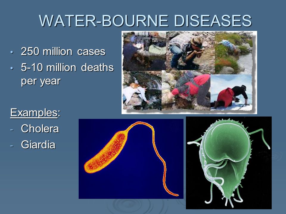 WATER-BOURNE DISEASES 250 million cases 250 million cases 5-10 million deaths per year 5-10 million deaths per year Examples: - Cholera - Giardia