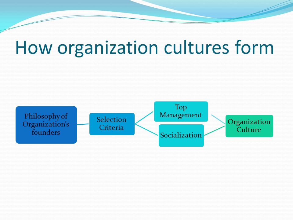 How organization cultures form Philosophy of Organization’s founders Selection Criteria Top Management Socialization Organization Culture