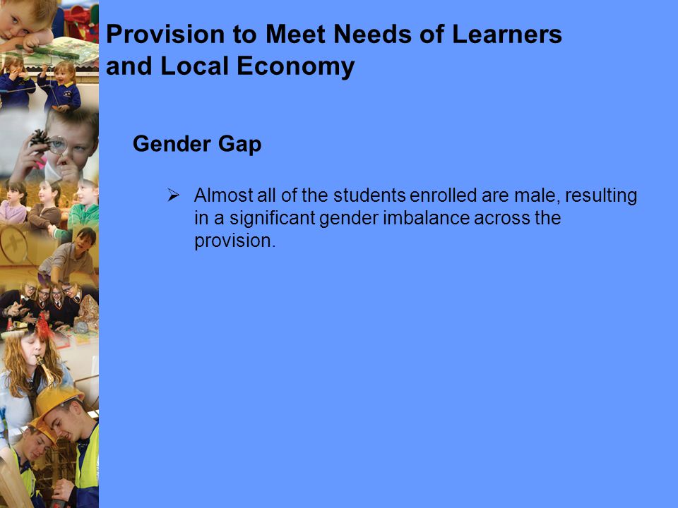 Provision to Meet Needs of Learners and Local Economy Gender Gap  Almost all of the students enrolled are male, resulting in a significant gender imbalance across the provision.