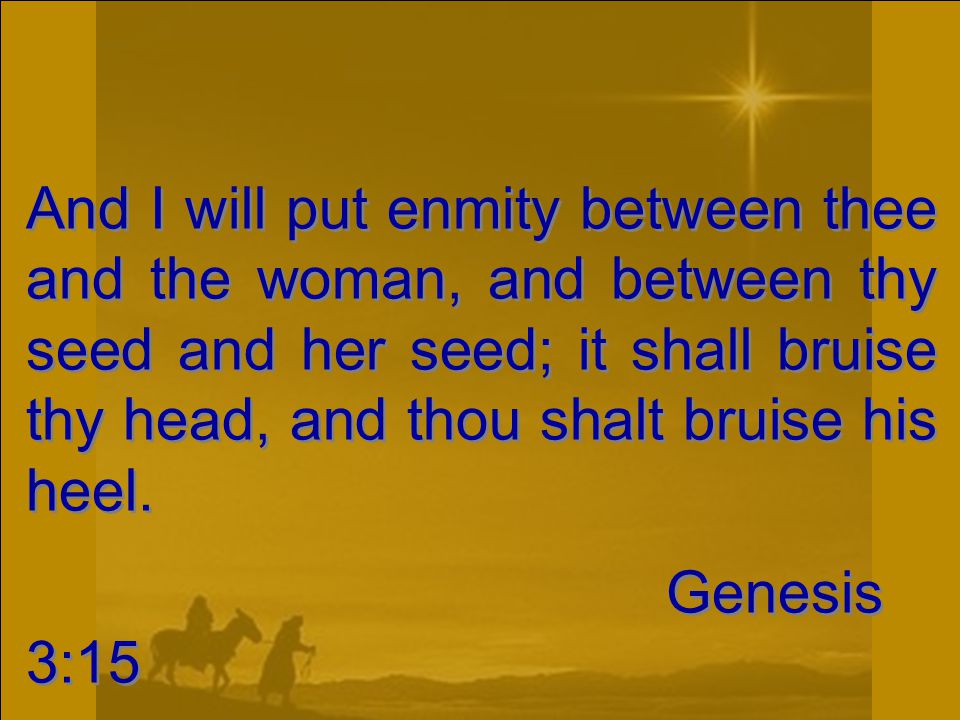 And I will put enmity between thee and the woman, and between thy seed and her seed; it shall bruise thy head, and thou shalt bruise his heel.