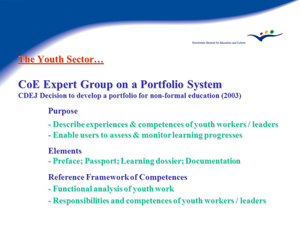 The Youth Sector… CoE Expert Group on a Portfolio System CDEJ Decision to develop a portfolio for non-formal education (2003) Purpose - Describe experiences & competences of youth workers / leaders - Enable users to assess & monitor learning progresses Elements - Preface; Passport; Learning dossier; Documentation Reference Framework of Competences - Functional analysis of youth work - Responsibilities and competences of youth workers / leaders