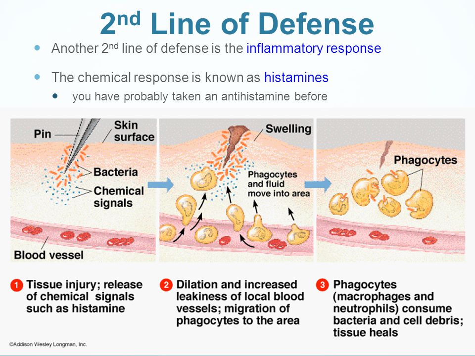 2 nd Line of Defense Another 2 nd line of defense is the inflammatory respo...