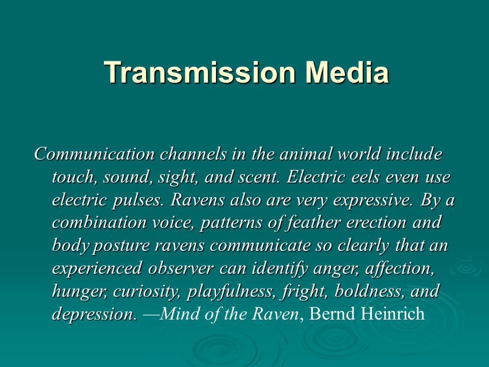 Transmission Media Communication channels in the animal world include touch, sound, sight, and scent.