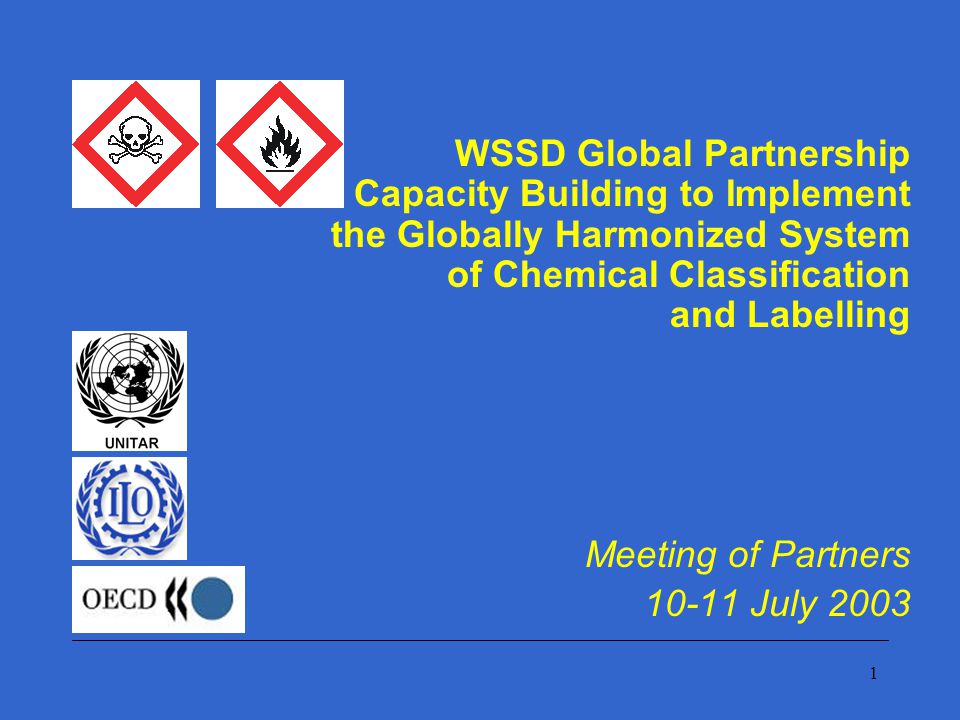 1 WSSD Global Partnership for Capacity Building to Implement the Globally Harmonized System of Chemical Classification and Labelling Meeting of Partners July 2003