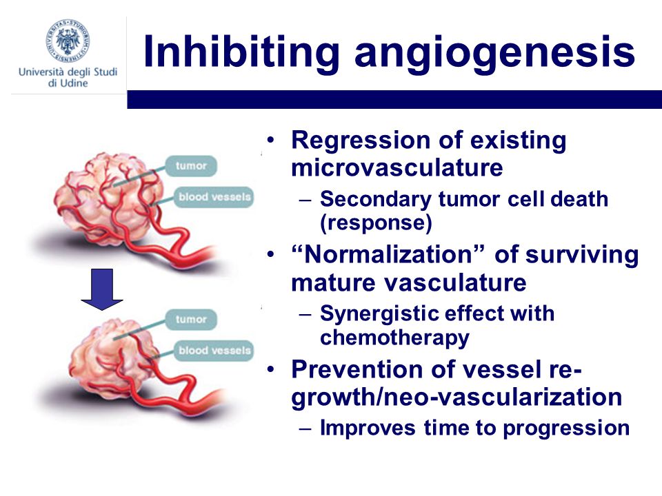 Inhibiting angiogenesis Regression of existing microvasculature –Secondary tumor cell death (response) Normalization of surviving mature vasculature –Synergistic effect with chemotherapy Prevention of vessel re- growth/neo-vascularization –Improves time to progression