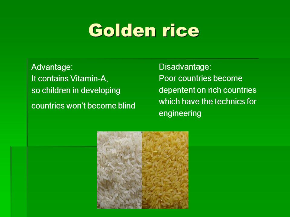 Golden rice Golden rice Advantage: It contains Vitamin-A, so children in developing countries won’t become blind Disadvantage: Poor countries become depentent on rich countries which have the technics for engineering