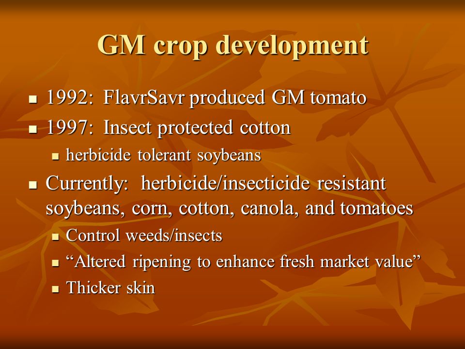GM crop development 1992: FlavrSavr produced GM tomato 1992: FlavrSavr produced GM tomato 1997: Insect protected cotton 1997: Insect protected cotton herbicide tolerant soybeans herbicide tolerant soybeans Currently: herbicide/insecticide resistant soybeans, corn, cotton, canola, and tomatoes Currently: herbicide/insecticide resistant soybeans, corn, cotton, canola, and tomatoes Control weeds/insects Control weeds/insects Altered ripening to enhance fresh market value Altered ripening to enhance fresh market value Thicker skin Thicker skin