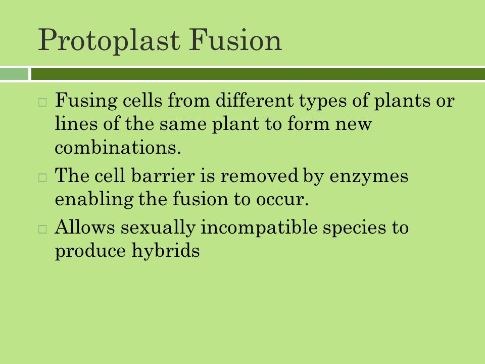 Protoplast Fusion  Fusing cells from different types of plants or lines of the same plant to form new combinations.
