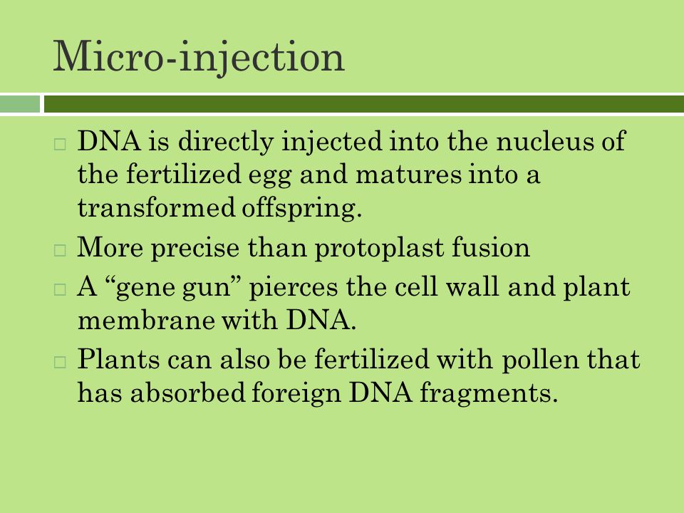 Micro-injection  DNA is directly injected into the nucleus of the fertilized egg and matures into a transformed offspring.