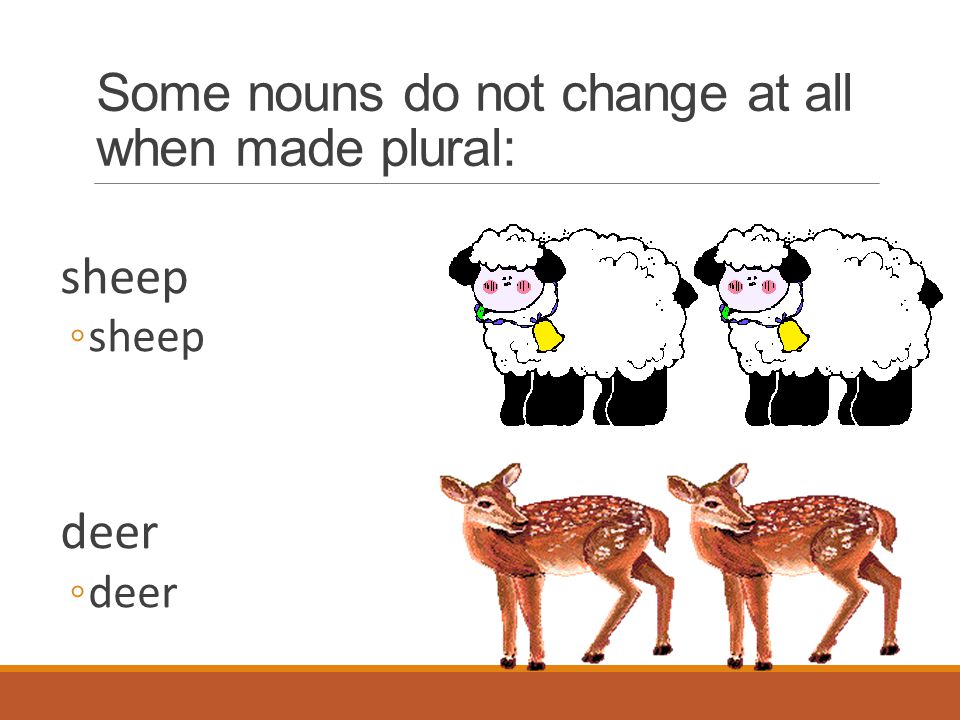 Some nouns do not change at all when made plural: sheep ◦sheep deer ◦deer