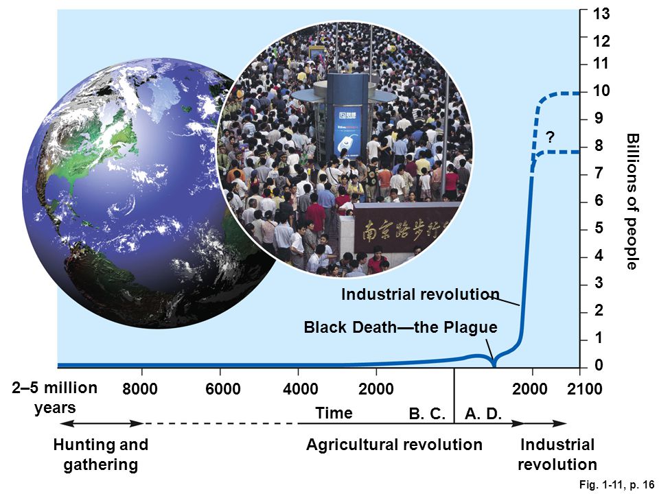 Industrial revolution Black Death—the Plague 2–5 million years 4000 B.
