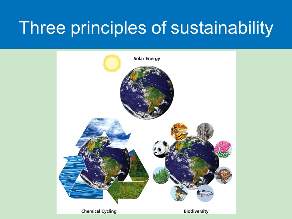 Three principles of sustainability