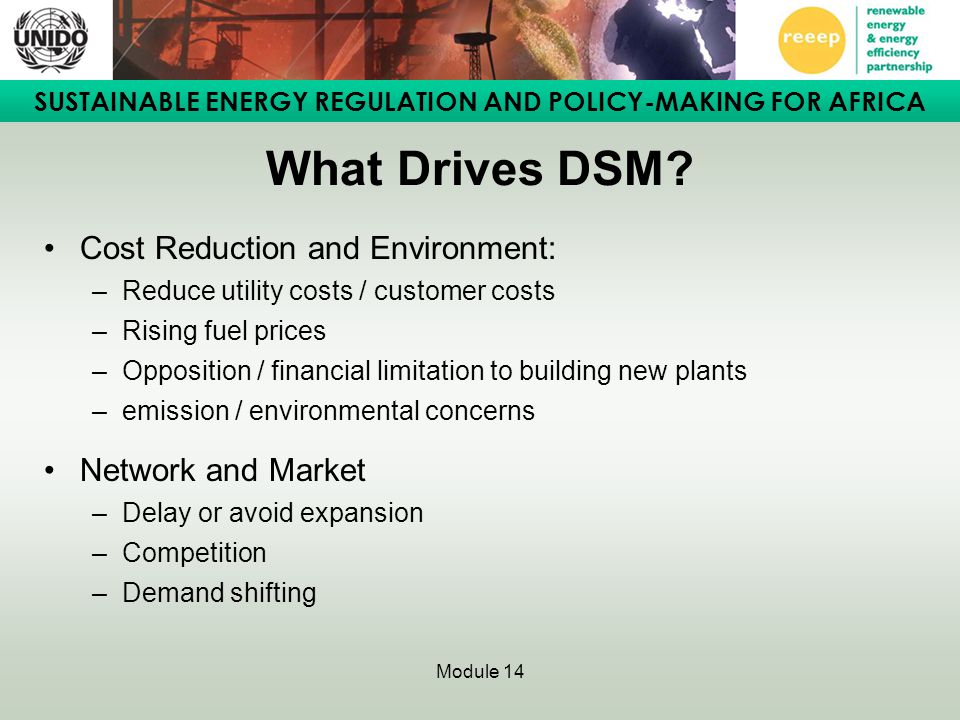 SUSTAINABLE ENERGY REGULATION AND POLICY-MAKING FOR AFRICA Module 14 What Drives DSM.