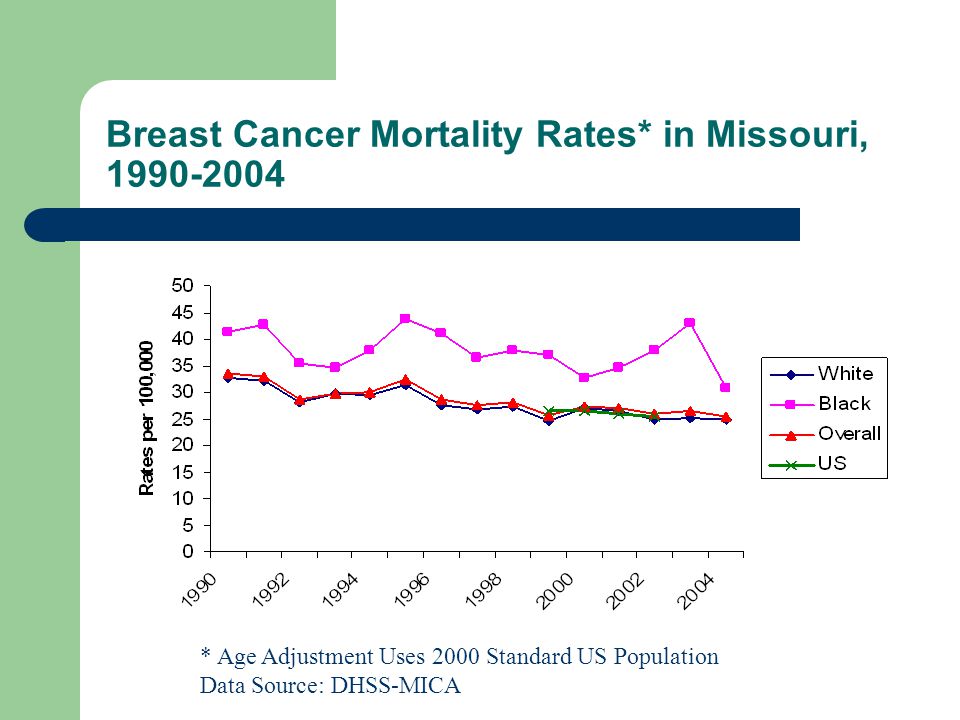 Breast Cancer Mortality Rates* in Missouri, * Age Adjustment Uses 2000 Standard US Population Data Source: DHSS-MICA