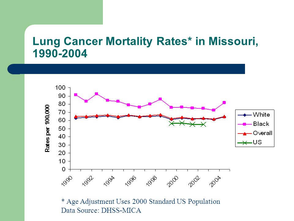 Lung Cancer Mortality Rates* in Missouri, * Age Adjustment Uses 2000 Standard US Population Data Source: DHSS-MICA