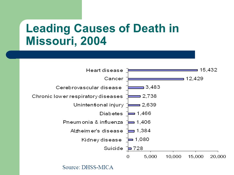 Leading Causes of Death in Missouri, 2004 Septicemia Source: DHSS-MICA