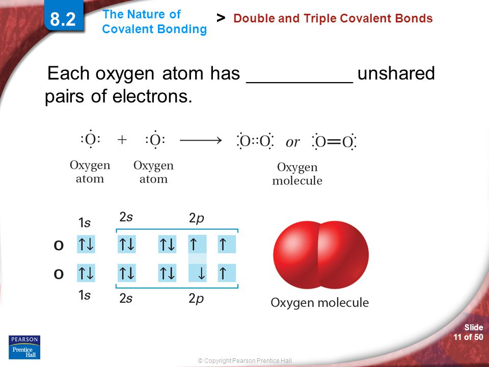 Slide 11 of 50 © Copyright Pearson Prentice Hall The Nature of Covalent Bonding > Double and Triple Covalent Bonds Each oxygen atom has __________ unshared pairs of electrons.