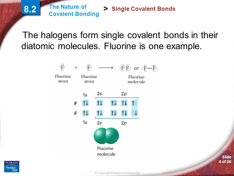 Slide 4 of 50 © Copyright Pearson Prentice Hall The Nature of Covalent Bonding > Single Covalent Bonds The halogens form single covalent bonds in their diatomic molecules.
