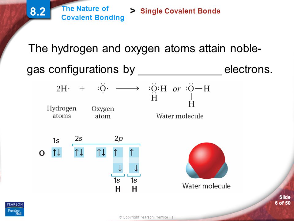 Slide 6 of 50 © Copyright Pearson Prentice Hall The Nature of Covalent Bonding > Single Covalent Bonds The hydrogen and oxygen atoms attain noble- gas configurations by _____________ electrons.