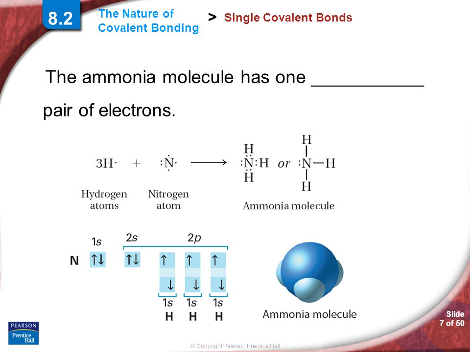 Slide 7 of 50 © Copyright Pearson Prentice Hall The Nature of Covalent Bonding > Single Covalent Bonds The ammonia molecule has one ___________ pair of electrons.