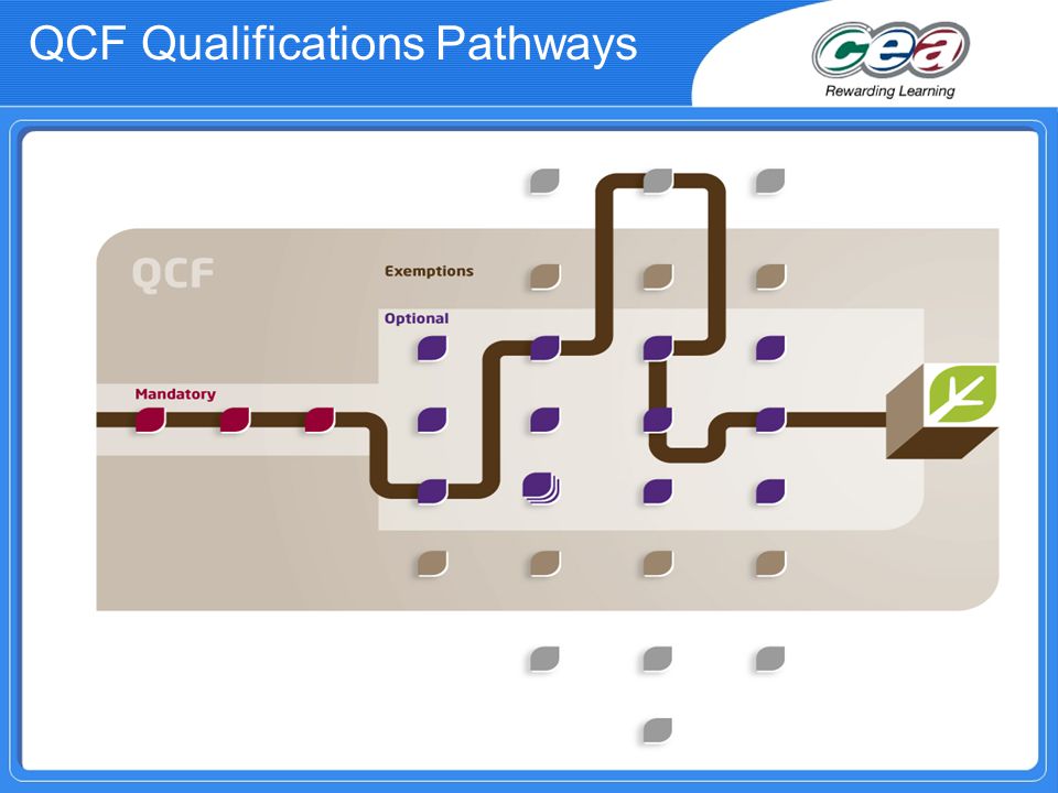 QCF Qualifications Pathways