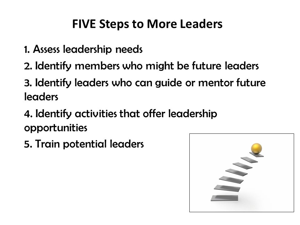 FIVE Steps to More Leaders 1. Assess leadership needs 2.