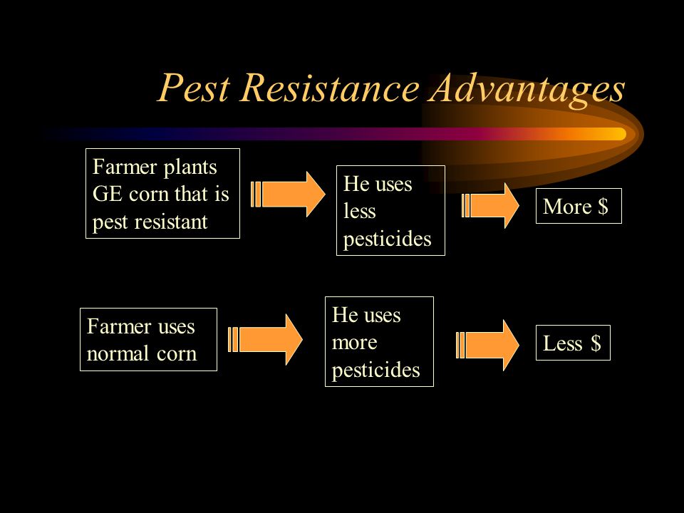 Pest Resistance Advantages Farmer plants GE corn that is pest resistant Farmer uses normal corn He uses less pesticides He uses more pesticides More $ Less $