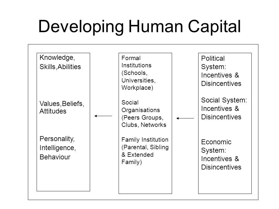 Developing Human Capital Knowledge, Skills,Abilities Values,Beliefs, Attitudes Personality, Intelligence, Behaviour Formal Institutions (Schools, Universities, Workplace) Social Organisations (Peers Groups, Clubs, Networks Family Institution (Parental, Sibling & Extended Family) Political System: Incentives & Disincentives Social System: Incentives & Disincentives Economic System: Incentives & Disincentives