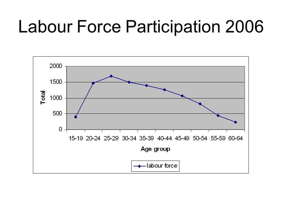 Labour Force Participation 2006