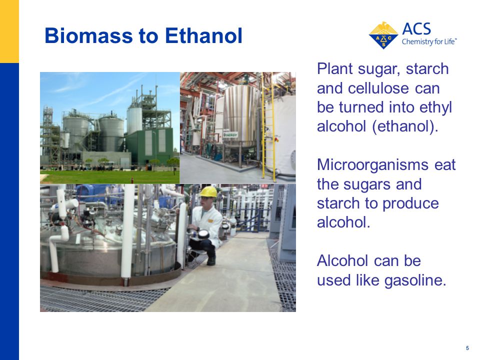 Biomass to Ethanol 5 Plant sugar, starch and cellulose can be turned into ethyl alcohol (ethanol).
