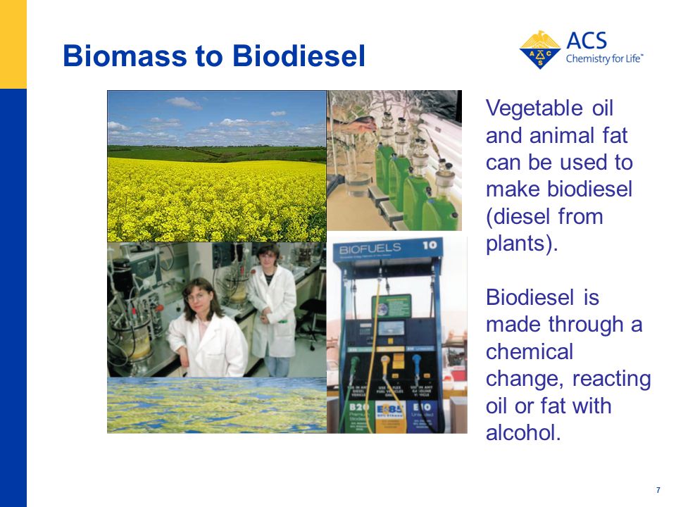 Biomass to Biodiesel 7 Vegetable oil and animal fat can be used to make biodiesel (diesel from plants).
