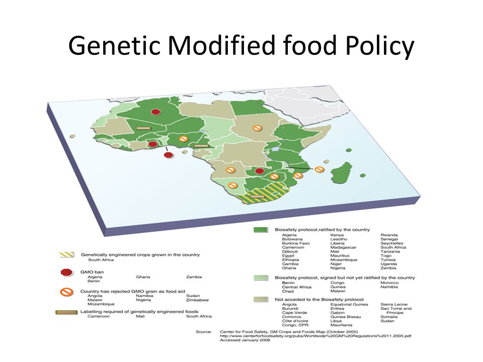 Genetic Modified food Policy